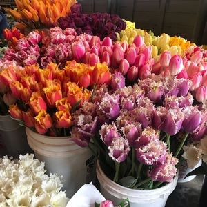 Meet your Posher, Thoriza